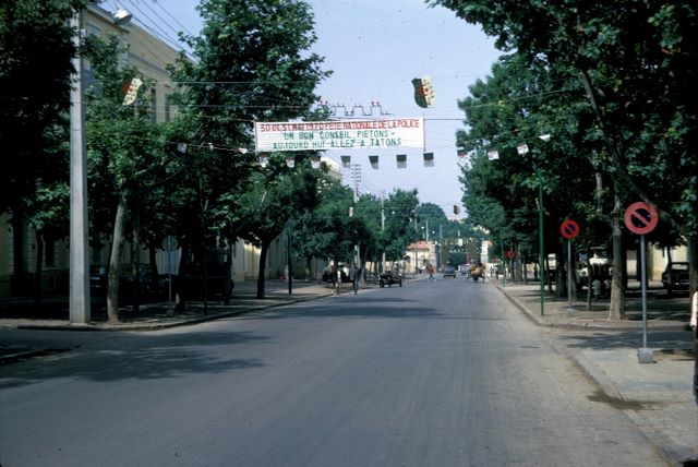 rczalg0014.jpg (large)