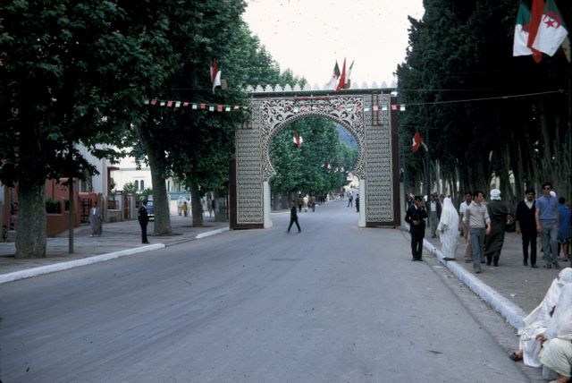 rczalg0017.jpg (large)