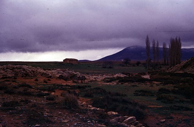 rczalg0546.jpg (large)