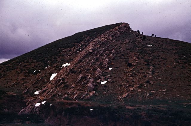 rczalg0547.jpg (large)